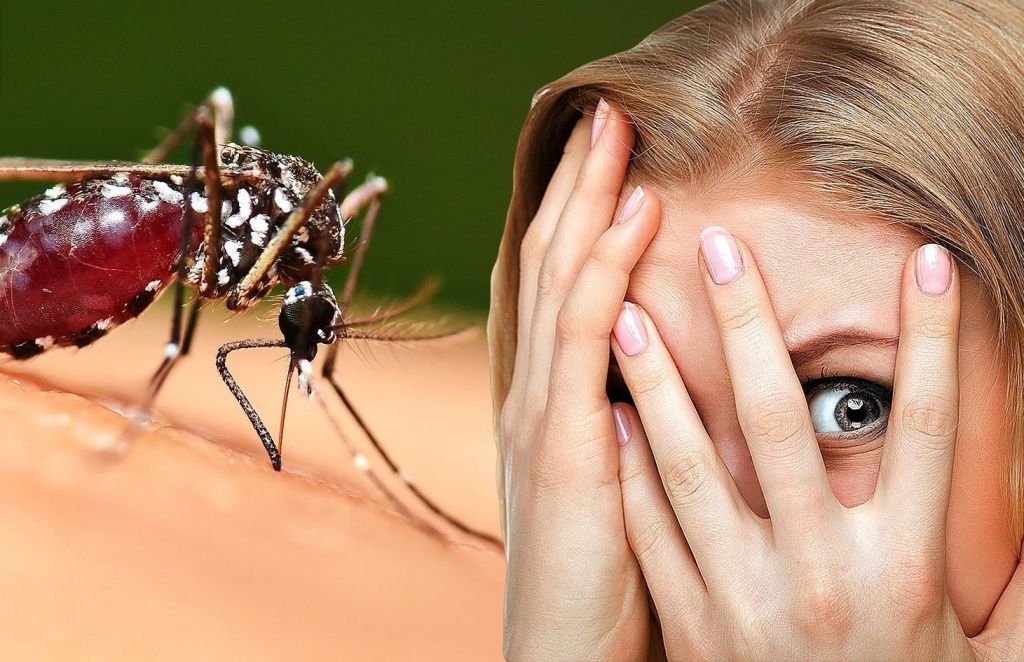 как защититься от комаров
