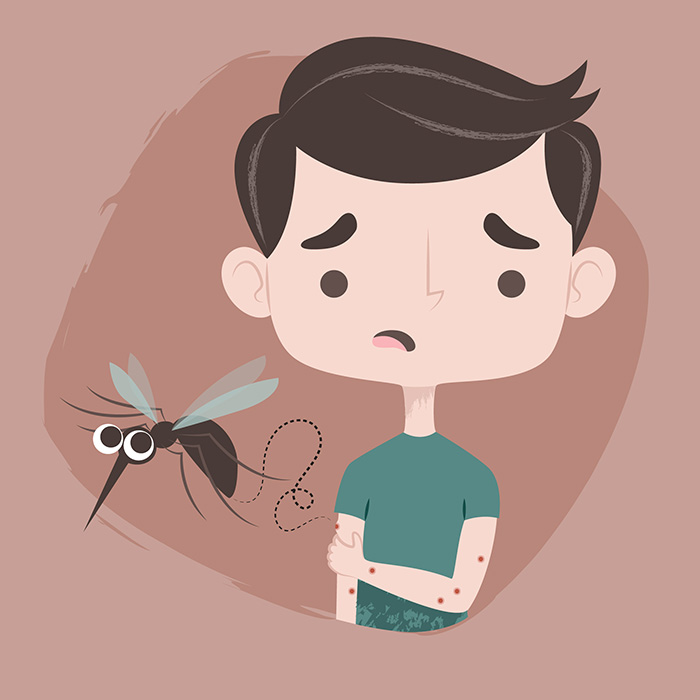 опасность укуса комара