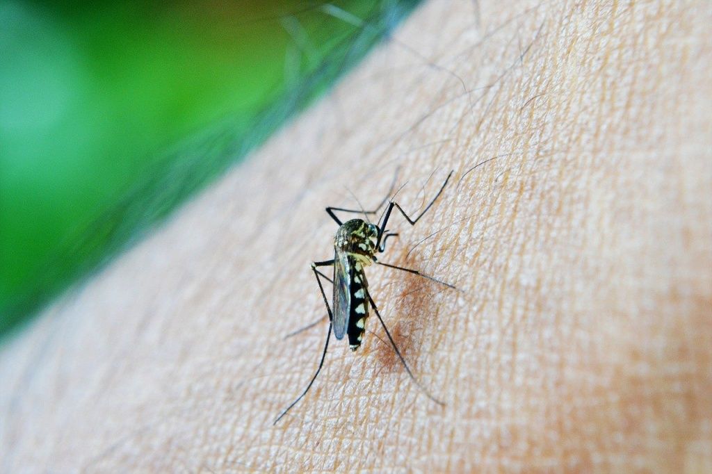 защита от комаров