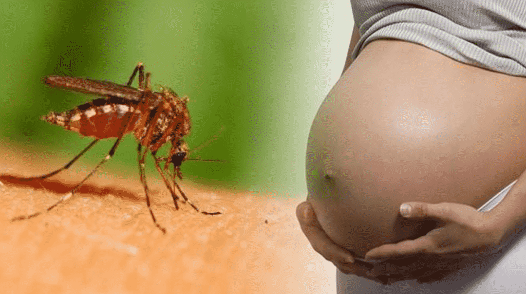 укус комара и беременность